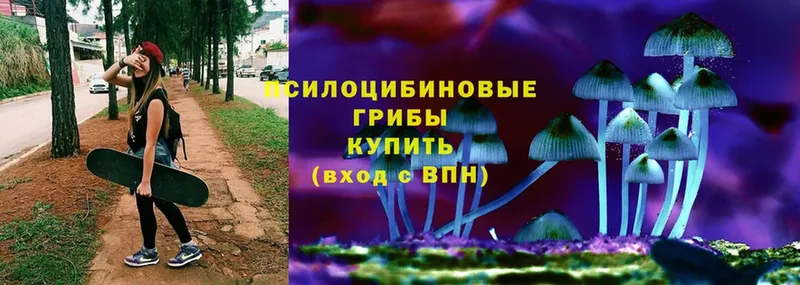 Псилоцибиновые грибы Psilocybine cubensis  MEGA ссылки  Солигалич 